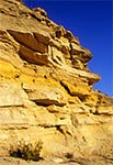 Mioceńskie piaskowce w kamieniołomie w Józefowie na Roztoczu Tomaszowskim