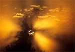 Mgiełki po wieczornej, letniej burzy - Bukowa Góra