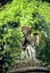 Anioł na zabytkowym nagrobku cmentarza w Oleszycach