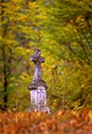Na leśnym cmentarzu w Teniatyskach