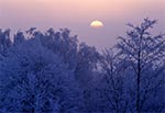 Zimowy świt na Roztoczu Szczebrzeszyńskim - wnętrze regionu