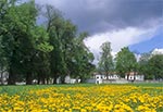 Kwitnąca łąka przed pałacem Łosiów w Narolu