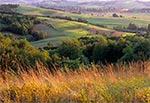 Okolice Kol. Gorajec-Zagroble to jedno z najpiękniejszych miesc Roztocza więc nie dziwota, że fotografowaliśmy tu bardzo często, a i dziś wracamy. Chociaż wszsytko się zmienia i część motywów została zasłonięta przez szybko wyrastające zagajniki sosnowe i brzozowe