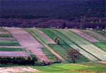 Roztocze Środkowe - pola Obroczy