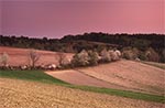 Wiosenne pola wsi Obrocz w świetle wieczornej zorzy
