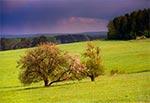 Wiosenna burza nad Dahanami