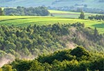 Zdarza się czasem taka sytuacja, że poleje deszcz, a później przygrzeje słońce i powstaną takie mgiełki w środku dnia. Jest to jednak rzadkie zjawisko. Jesteśmy na Roztoczu Zachodnim