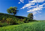 Rezerwat Kąty pod Zamościem