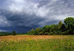 Naturalna łączka w dolinie na Działach Grabowieckich