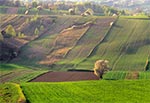 Wiosna na Roztoczu Szczebrzeszyńskim. Takie różnorodne środowisko (wąskie zagony, miedze, dzikie fragmenty pośród pól) sprzyja zwierzętom, gdyż zapewnia im siedliska. A to właśnie istnienie siedlisk dla zwierzyny jest najważniejsze