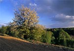 Roztocze Szczebrzeszyńskie - wnętrze regionu