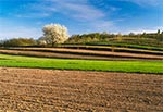 Lessowe pola tarasowe (terasowe) na Roztoczu Zachodnim - okolice Kawęczyna