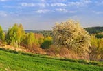 Radosna wiosna na Roztoczu Zachodnim. A tam hen na ostatnim planie to wzgórza już Roztocza Środkowego, gdzie wiosna pewniekiem jest równie radosna