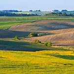 Widok z wieży widokowej w Chłopiatyniu na północ