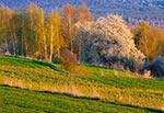 Jesteśmy na wierzchowinie Roztocza Szczebrzeszyńskiego, a te sosnowe lasy w oddali leżą już za doliną Wieprza, na Roztoczu Środkowym.
