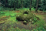 "Świątynia słońca" w okolicach Nowin Horynieckich