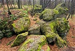 Rezerwat &quot;Kamień&quot; kolo Stanisławowa. W latach 50 - 70-tych ub. wieku stała tu wieża triangulacyjna