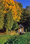 Kapliczka na wodzie, z roku 1905, pw. św. Romana, znajdująca się między Feliskówką a Lipskiem Polesiem. Zdjecie przedstawia oryginalną kapliczkę ale po remoncie w roku 1974, kiedy to zastąpiono dach gontowy blaszanym. Po 111 latach spaliła się i obecnie stoi tam nowa