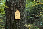 Kapliczka przy drodze na Wojdę z Kosobud - Roztoczański Park Narodowy