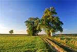 Kapliczka na wzniesieniu nad Wolą Wielką. Wewnątrz obraz Czarnej Madonny nad którym umieszczono Oko Opatrzności. Wzdłuż drogi rosną dorode robinie akacjowe