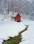 Nowa kapliczka domkowa Ĺw. Romana, ustawiona w miejscu starej, ktĂłra âspaliĹa siÄâ 18 lipca 2017 roku. Miejsce to nazywane jest Zjawieniem lub Miasteczkiem. WedĹug podaĹ to tu lokowano wieĹ Stare Lipsko. ĹšrĂłdeĹko znane jest z uzdrawiajÄcych wĹaĹciwoĹci, szczegĂłlnie w odniesieniu do chorĂłb oczu.