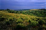 Letni pejzaż Roztocza Gorajskiego