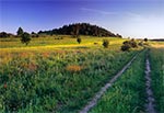 Wzgórze Łysy Byk na Roztoczu Środkowym. Nazwa pochodzi z czasów kiedy tych wzgórz nie porastały drzewa, a bieliły się od wapiennych skał. Były tam też małe kamieniołomy lokalne