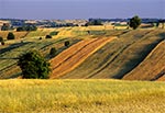 Klasyczny pejzaż Roztocza Gorajskiego