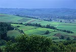 Nadciąga letnia burza - Dolina Gorajca