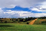 Okolice wsi Gilów na Roztoczu Zachodnim