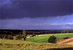 Letnia burza nad Roztoczem Zachodnim - Szperówka