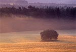 Dahany o świcie to klasyk Roztocza Wschodniego / Południowego, gdzie nie prowadzi żaden znakowany szlak i niech tak pozostanie