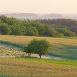 Panorama widziana z pól między Górami Wapniarką i Młynarką
