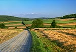 Otoczenie góry Łysiec widziane od strony północnej - zbocza Łyśca widzimy po lewej