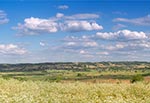 Stoimy na Roztoczu Gorajskim, na drugim planie widzimy dolinę Gorajca, a dalej wzgórza należące do Roztocza Szczebrzeszyńskiego