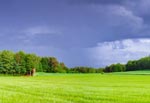 Spod tego mrowiska na skraju pola, które pokazaliśmy niedawno, rozciąga się taki oto widok, głęboko oddychający przestrzenią. Akurat przechodziła letnia burza. Taki deszcz to tylko człeka raduje, bo lubo schładza strudzony czerep w dzień parny i gorący.
