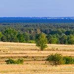 Widok na tzw. siną dal z otoczenia jednego ze wzgórz zwanych Łysymi Bykami - koło Tereszpola.