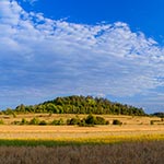 Kamienna Góra - jedno z charakterystycznych wzgórz w okolicach Tereszpola o nazwie Łyse Byki. Nazwa wzięła się zapewne stąd, że kiedyś nie rosły na nich drzewa, a do tego były tam małe kamieniołomy, bielejące zapewne od skał. Dzisiaj są porośnięte drzewami i chyba wygląda to lepiej, bo drzewa dodają tym pagórkom wizualnie wysokości..