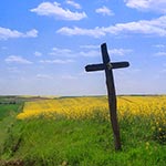 Przydrożny stary krzyż przy zanikającej już starej drodze na Grzędzie Sokalskiej między Podlodowem a Sowińcem.