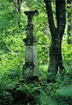 Krzyż z roku 1901 w nieistniejącym przysiółku Chotylubia - Kołosowskie