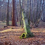 Przydrożny krzyż bruśnieński z roku 1895 w okolicy Monasteru