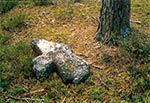 Krzyż pochodzący prawdopodobnie z czasów najazdów tatarskich. Należy do tych najtrudniejszych do znalezienia, gdyż nie jest to krzyż przydrożny, a do tego leży więc nawet z dosyć bliskiej odległości jest niewidoczny. A znajduje się w sosnowym borze między Łówczą a Chotylubiem