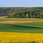 W oddali cmentarz z kaplicą grobową Hulimków w Mycowie