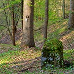 Mniej znane miejsce stacjonowania partyzantów. Nie prowadzi tu żaden znakowany szlak tak jak do Ukaszowa i na górze Dąbrowa. Ale to dobrze - dotarcie tu wymaga pewnego wysiłku intelektualnego i fizycznego. Znajduje się w wąwozach na zachód od Topólczy. Najdogodniej dociera się odbijając w odpowiednim momencie w lewo od Centralnego Szlaku Roztocza PTTK.