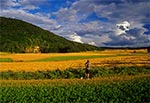 Plener fotograficzny pod górą Łysiec