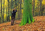 Plener fotograficzny w lasach krasnobrodzkich - rez. Św. Roch