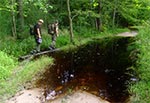 Okolice Stare Huty i rezerwatu Źródła Tanwi