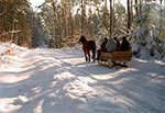 Przejażdżka saniami przez Roztoczański Park Narodowy - Trakt Florianiecki