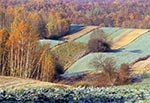 Poranny szron na Roztoczu Zachodnim - Szperówka