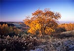 Naturalny zakątek roztoczański - okolice wsi Kol. Gorajec-Zagroble